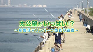 What's名古屋港　太公望がいっぱい！？～新舞子マリンパーク魚釣り施設～　2025年9月28日（日）14：50～放送