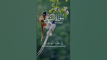 تلاوة خاشعة تهز القلوب | سورة الليل بصوت علاء عقل 🌙 قرآن كريم يريح القلب#quran #القرآن_الكريم
