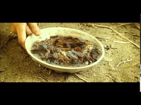 진짜루