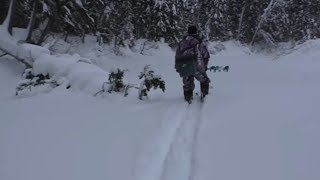 Рыбалка в тайге / Рыбалка на таежной речке / Хариус Рыбалка в тайге / Рыбалка на таежной речке / Хариус