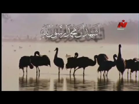 اذان الظهر بصوت الشيخ سيد النقبشندي على قناة نايل سينما  قديم