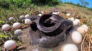 Wow Amazing Hand Fishing - Catch a lot of fish and pick eggs in rice field near road by skills hand
