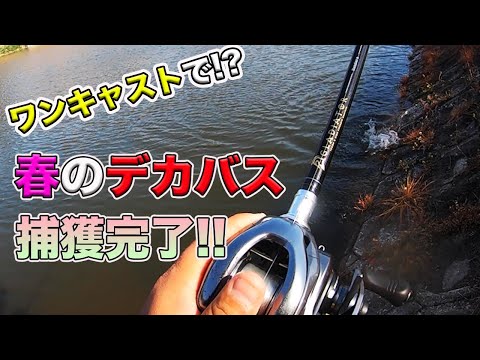 【バス釣り】春のラバージグでデカバス捕獲!!動かし方や使い方がハマったのかはわからない半日の流れを公開!!【ジグスト】【50アップ】【レイドジャパン】