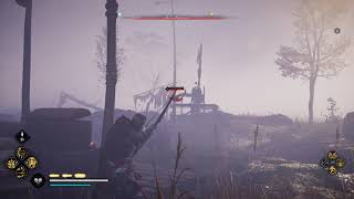 Assassins Creed Valhalla - Some Kills