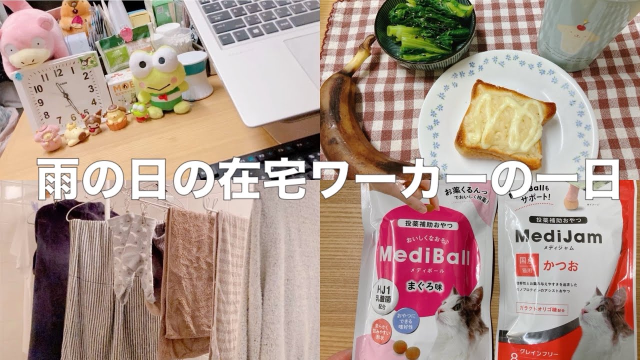 【ベジタリアン】【扶養内パート】雨の日の在宅ワーカーの一日【猫のいる幸せ】【TNR】