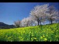 ノビー/越名恋歌 /seijirou