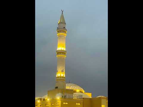 فجرية لسورة النساء القارئ ماجد الحازمي فجرية لسورة النساء القارئ ماجد الحازمي