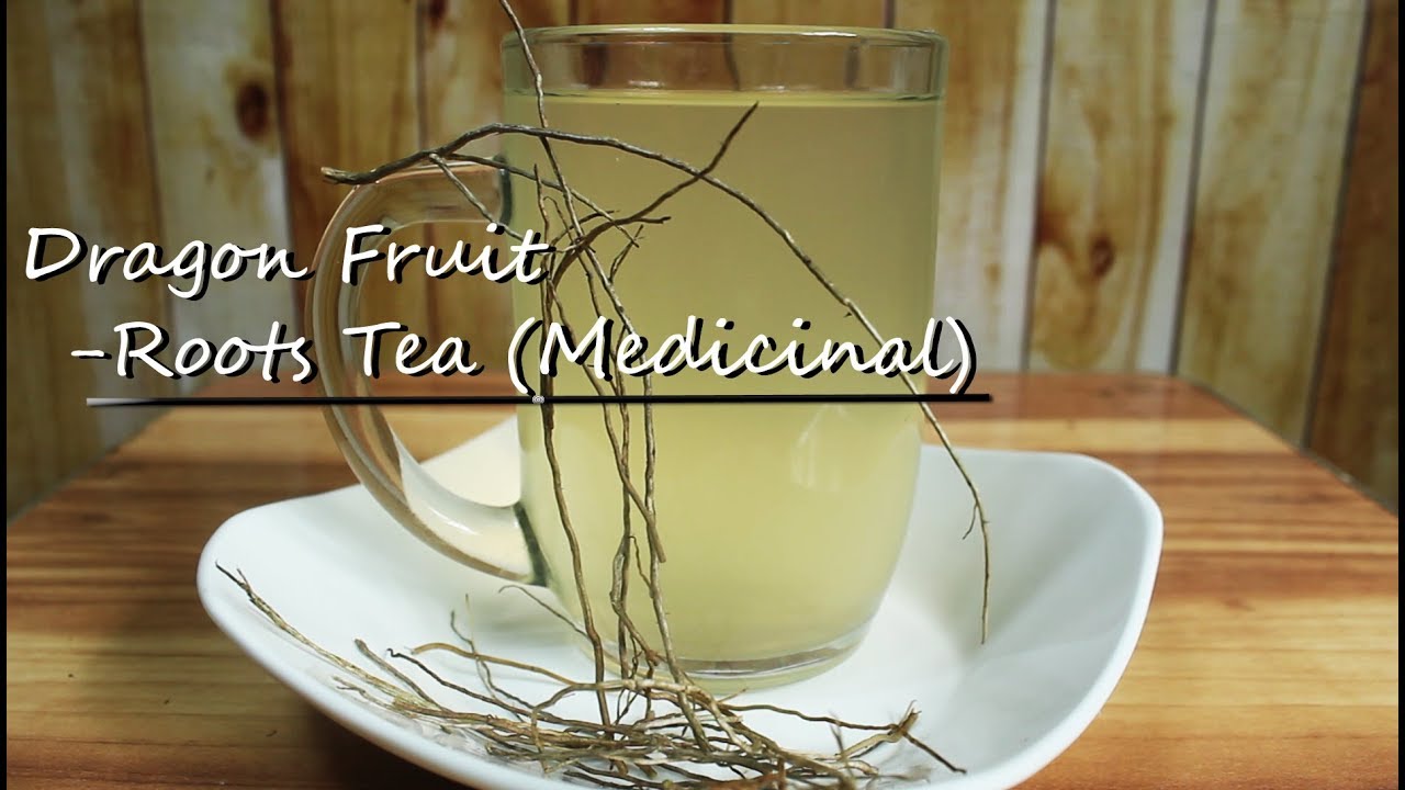 HOW TO MAKE DRAGON FRUIT ROOTS (MEDICINAL TEA) YouTube