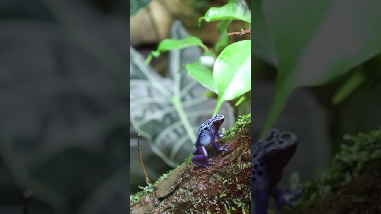 Thinking of visiting Nebraska? 