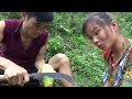 Survival skills: Primitive life finding food meet jackfruit - Eating delicious