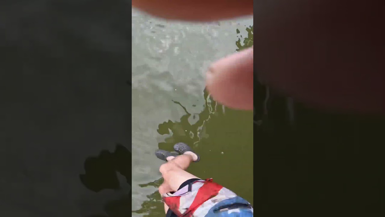 Bridge Jump GONE WRONG!!