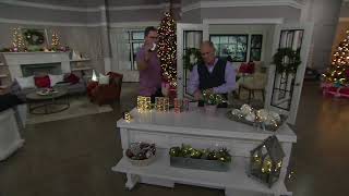 Bethlehem Lights Set of 4 Indoor/Outdoor 10' Fairy Lights & Remote on QVC screenshot 4