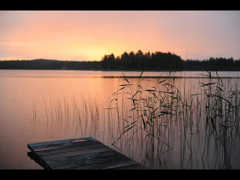 그리움만 남긴 채 감성음악 By 정온