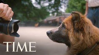 The Dogist Photographer On Taking Photos Of And Connecting With Dogs  | TIME