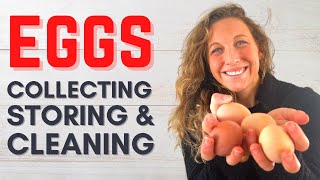 Chicken Eggs: Collecting, Cleaning and Storing