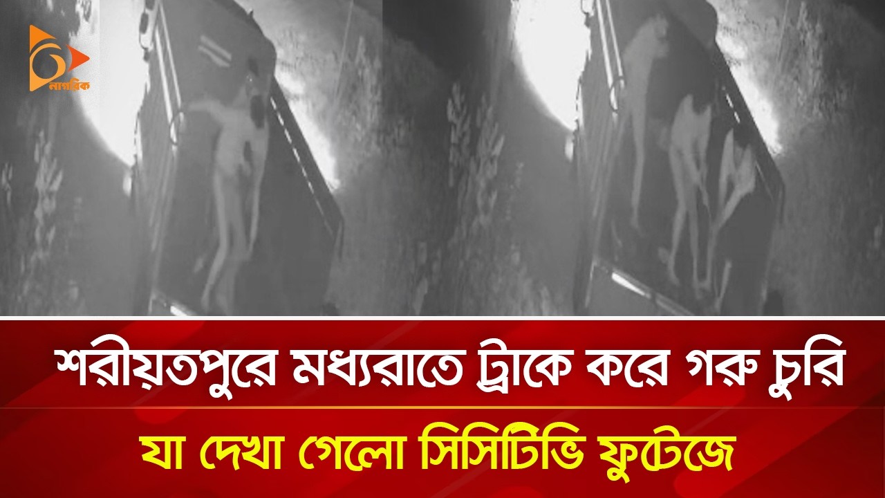 শরীয়তপুরে মধ্যরাতে ট্রাকে করে গরু চুরি, যা দেখা গেলো সিসিটিভি ফুটেজে | Nagorik TV