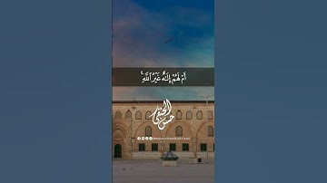 أم لهم إلهٌ غيرُ الله سبحان الله وتعالى عما يشركون | #حسن_الحنفي #قرآن_كريم #سورة_الطور