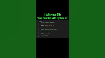 Run Python Scripts Like a Pro with Shebang! #coding #pythonprogramming #pythonautomation #pythontips