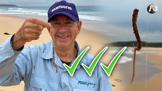 Beach Fishing: Incredible Benefits of BEACH WORMS!