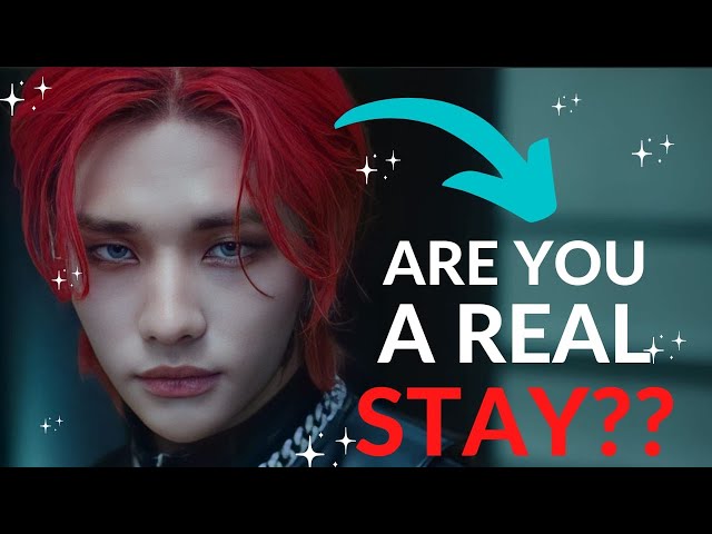 Stray Kids quiz that only stays can answer (plus some inside jokes 😏😉) class=