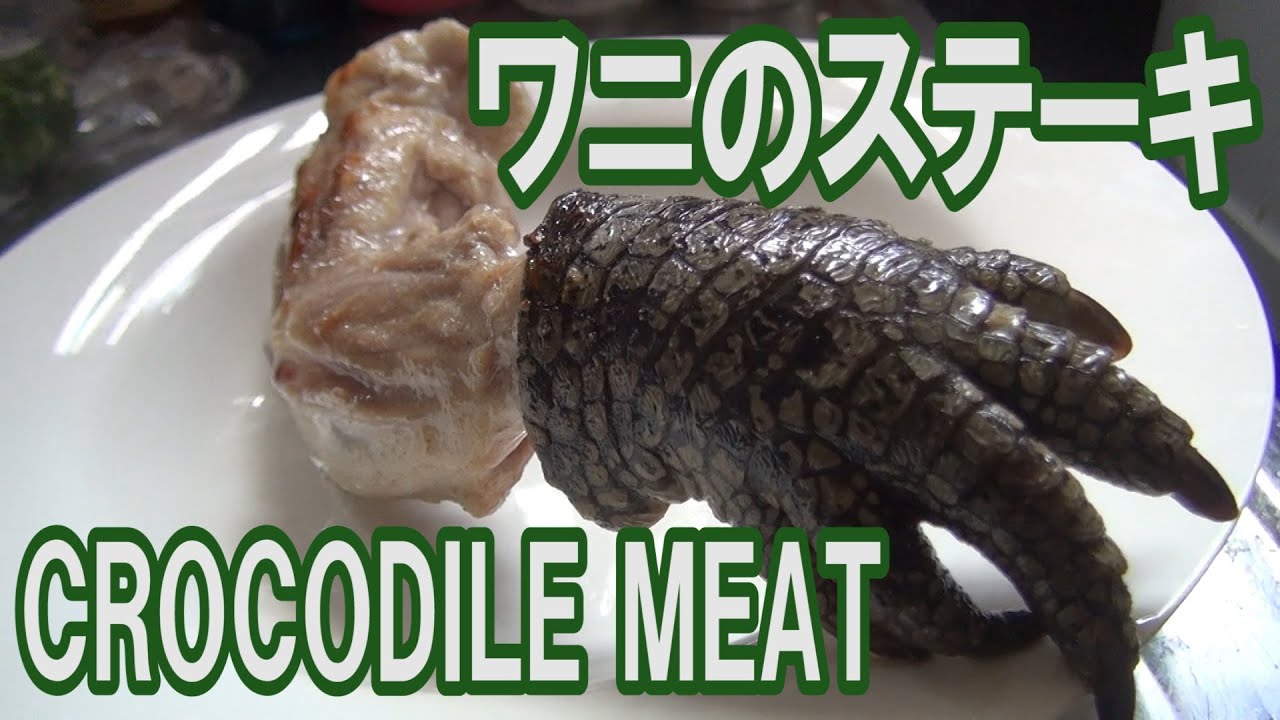 ワニのステーキを喰らう I Roast A Crocodile And Eat Youtube