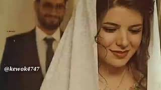 Dile Bil Bil 😧😧😧😧