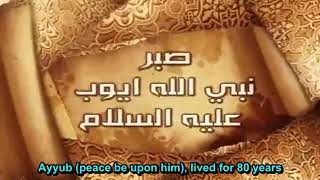 Story of Prophet Ayyub (Job) translated قصة سيدنا أيوب عليه السلام مترجمة