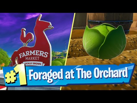 Wideo: Wyjaśnienie Lokalizacji Fortnite's The Orchard