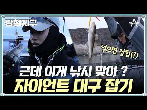 강철 여행자들의 대구 낚시 <strong>대결</strong>!  | 강철지구 8 <strong>회</strong>