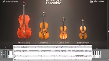 Haydn Serenade for Strings With NI Cremona Strings Quartet