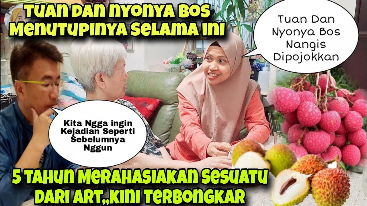 TERUNGKAP RAHASIA MENGEJUTKAN‼️ NYONYA DAN TUAN BOS MENYEMBUNYIKAN SESUATU DARI ART NYA