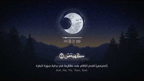 سورة مريم بصوت الشيخ سالم الرويلي للنوم راحة نفسية 😴🎧 القرآن الكريم (يدعون إعلانات)