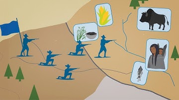 What is colonization?