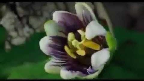 الغزالي تلاوه جميله وصوت جميل جدا تشرح الصدر...