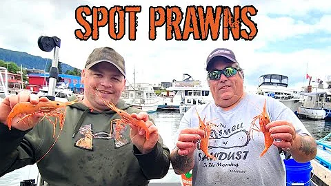 Spot Prawn Fishing on the West Coast of BC - Princ...