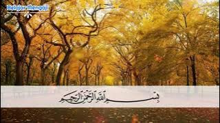 Download lagu Murottal Surat Al Bayyinah 5x repeat Metode Ummi Anak Anak Sangat Merdu