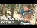 Nienke op zoek naar koala's! | Het Klokhuis