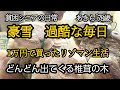 【貧困シニア】あきら78歳、豪雪地帯　過酷な日々　難病との戦い。余命宣告。貧困シニアあきら　ルーティン　年金一人暮らし　シニアライフ　シニアvlog