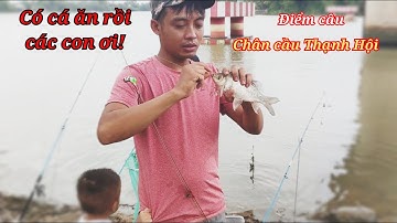 4 Cha Con đi câu cuối cùng cũng dính cá có cá ăn rồi | Điểm câu cầu thạnh hội Tân Uyên sông Đồng Nai