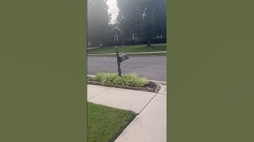 Arrma fury #arrma #rc #rccar #basher #fast #fypシ #viral #red #truck #trophytruck