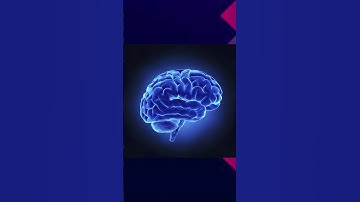 SSB is The Most Comprehensive Personality Assessment System in the Country #train4ssb #ssbtips