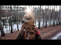 Выноска черного коршуна - 1 день [Fed Happy Black Kite]