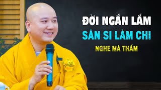 Không Tức Giận Là Người Có Trí Tuệ (Bài Giảng Rất Hay )  Pháp Thoại Thầy Thích Pháp Hoà