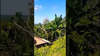 Pemandangan sore yang indah #Shorts #vlog_perjalanan