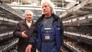 Hölzmann & vrbanatz heizungsbau gmbh & co. Kg | unternehmensfilm