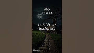 تلاوة جميلة لأيات من القرآن الكريم #قران_كريم #راحة_نفسية #اذكار_الصباح_المساء #اكسبلور #لايك #ترند