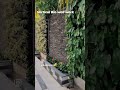vertical garden installation in Chennai by Gardenpro Landscapes chennai