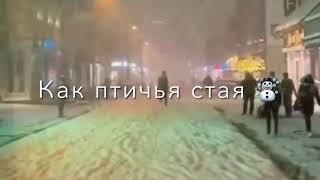 снег летит как птичья стая🥀