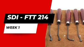 SDI - FTT 214 - Week1