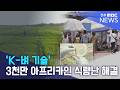 'K-벼 기술', 3천만 아프리카인 식량난 해결되나?
